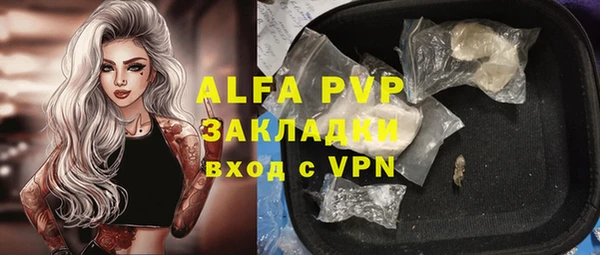 гидра Алексин