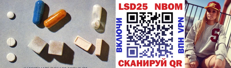 закладки  Новая Ладога  ЛСД экстази кислота 