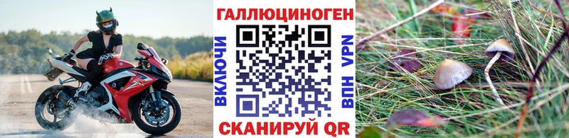 hydra сайт  Новая Ладога  Псилоцибиновые грибы ЛСД  купить  цена 